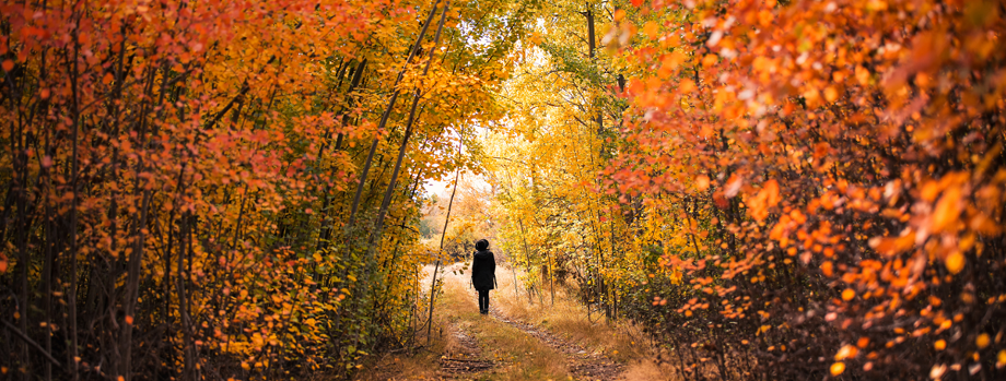 autumn-1.png
