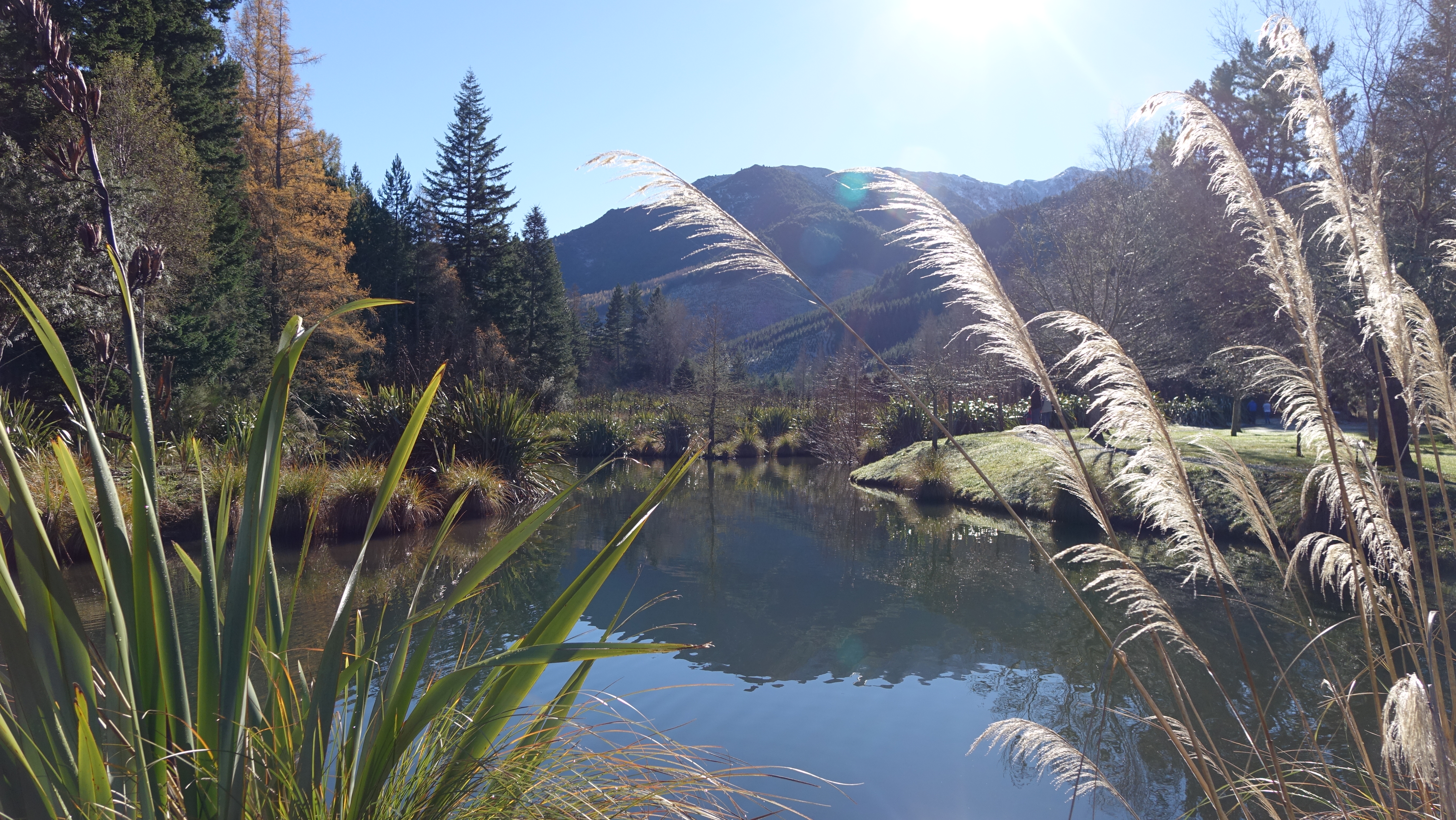 Exploring the Forests of Hanmer Springs | Hanmer Springs TOP 10