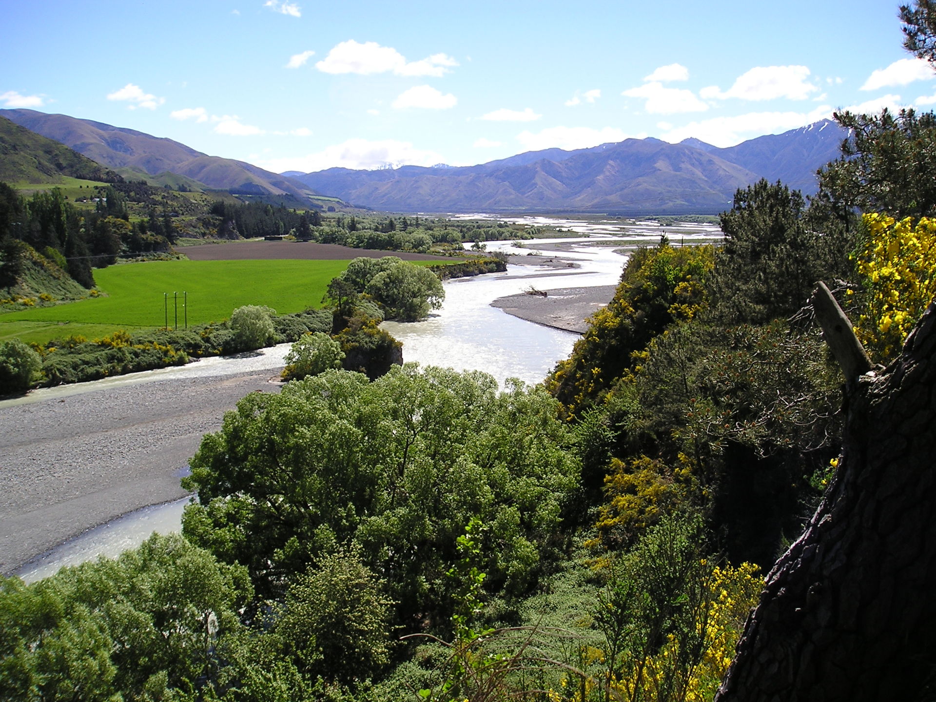Waiau_River_upstream_of_Waiau_Ferry_Bridge.jpg