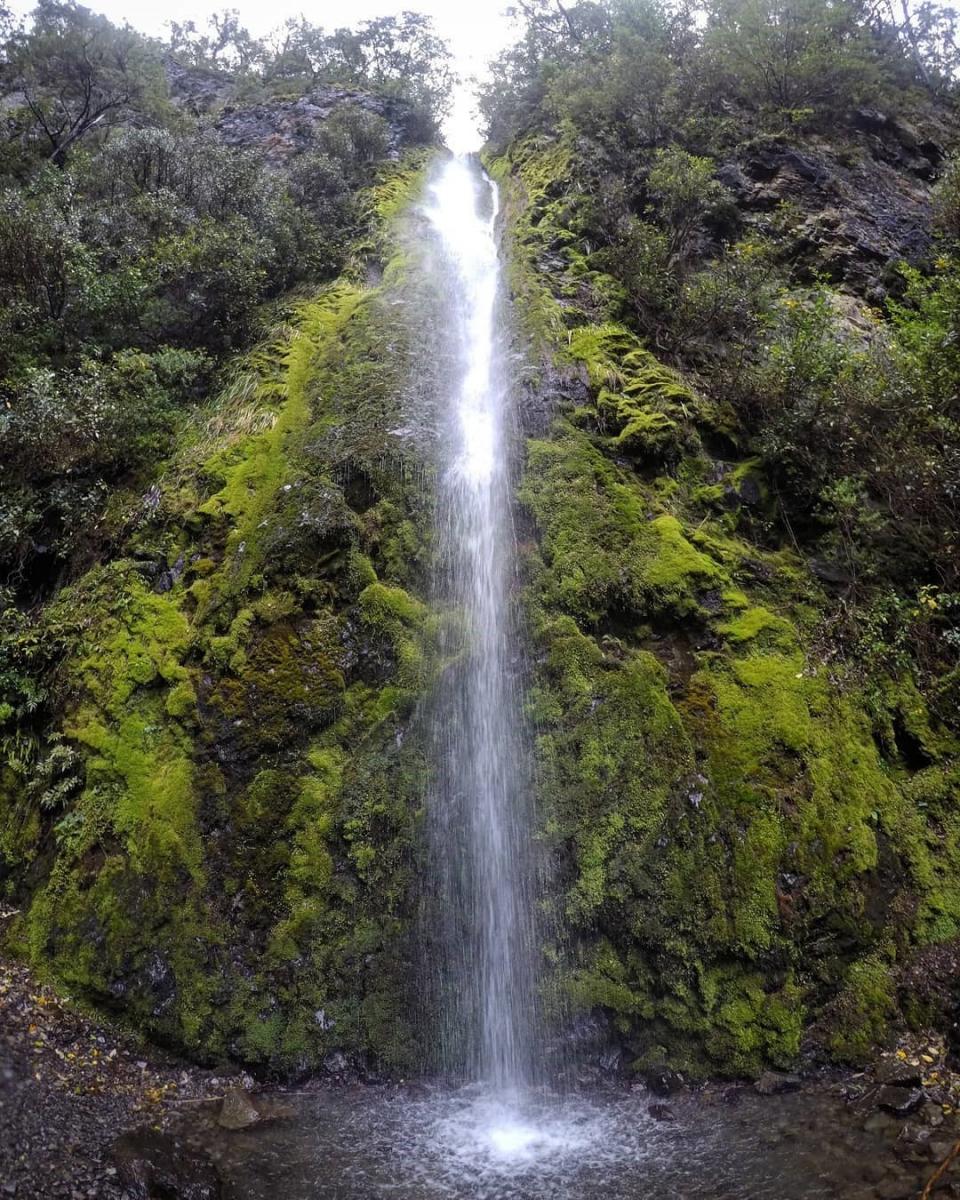 dog stream waterfall 2.jpg