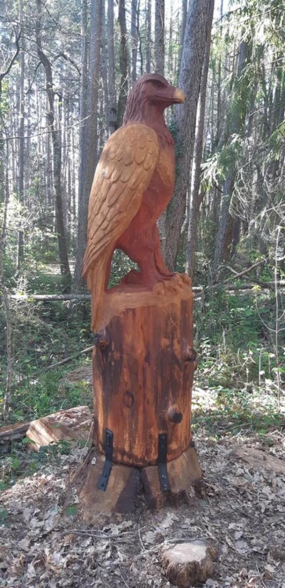 hanmer forest creatures 10.jpg