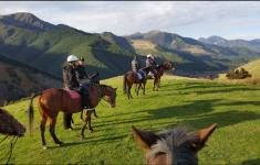 Hanmer Horse Trekking