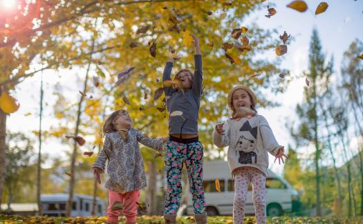 Hanmer autumn leaves