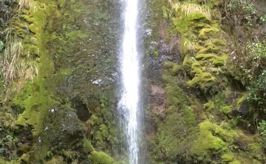 dog stream waterfall hanmer springs