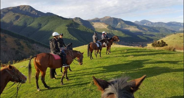 Hanmer Horse Trekking