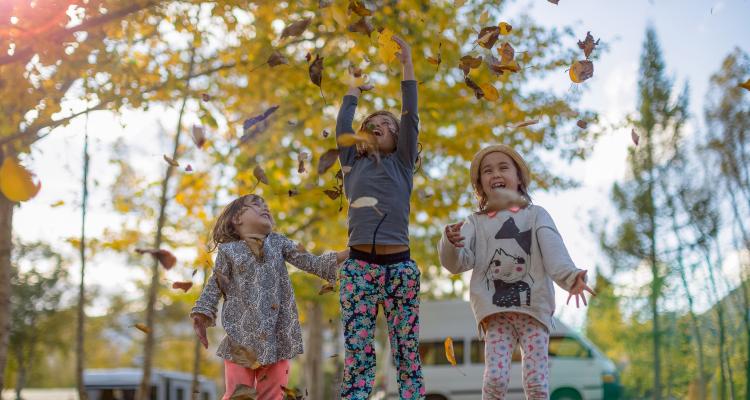 kids play area hanmer top 10 holiday park