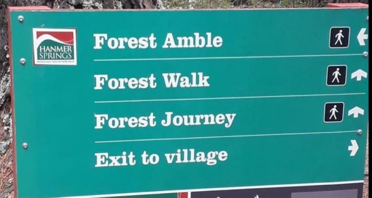 Hanmer Forest Amble trail